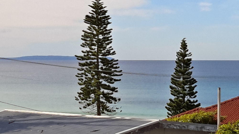 Allure On Ocean Motel - Mollymook Beach Exterior foto